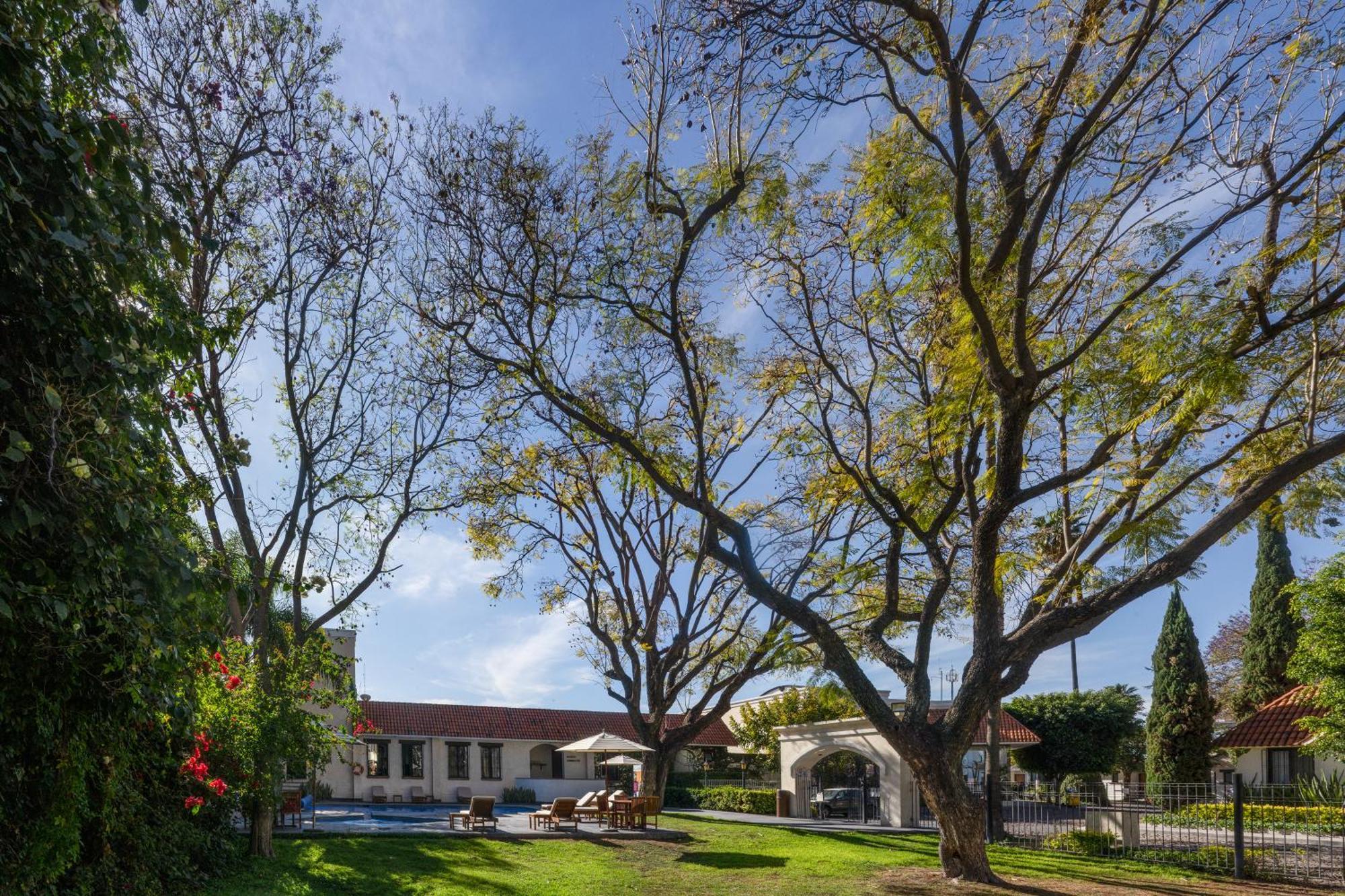 Hotel Flamingo Inn Queretaro Exterior photo